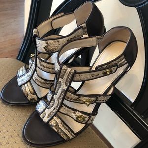 Coach shoes in python print.